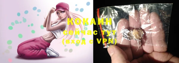 шишки Аркадак