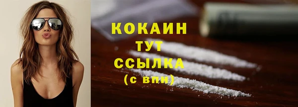 шишки Аркадак