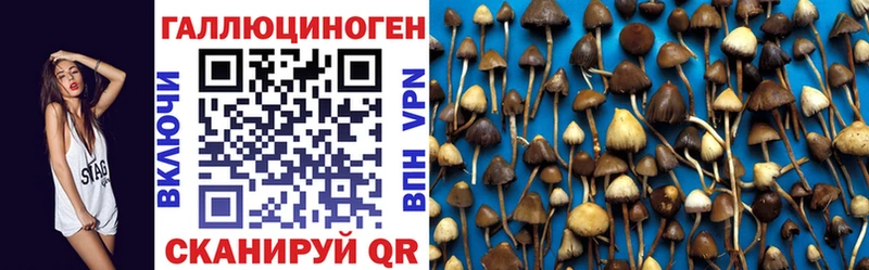 Галлюциногенные грибы Magic Shrooms  даркнет сайт  ОМГ ОМГ как зайти  Арск 